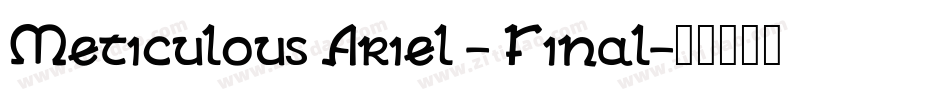 Meticulous Ariel - Final字体转换